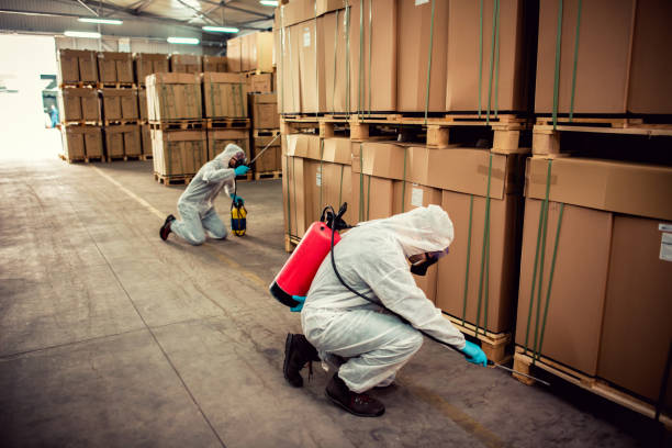 Best Best Pest Control Companies  in Calverton Park, MO
