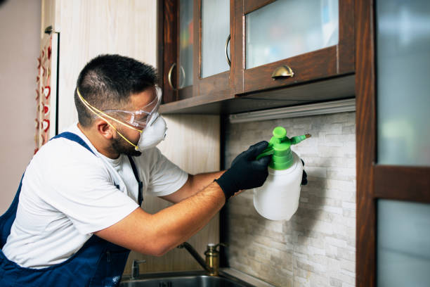 Flea Control Services in Calverton Park, MO