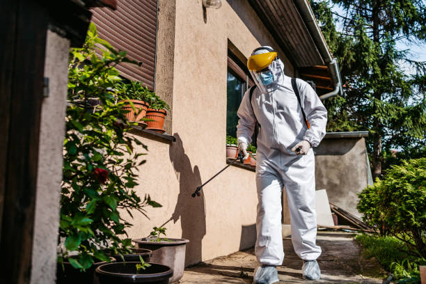Best Termite Control Services  in Calverton Park, MO