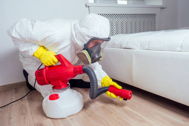 Best Affordable Pest Control Services  in Calverton Park, MO