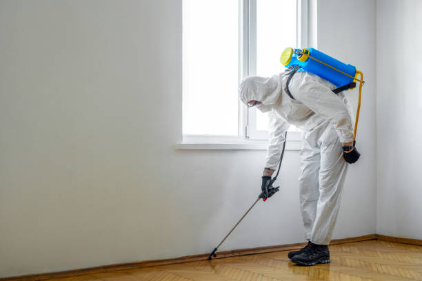 Best Pest Control Treatment  in Calverton Park, MO