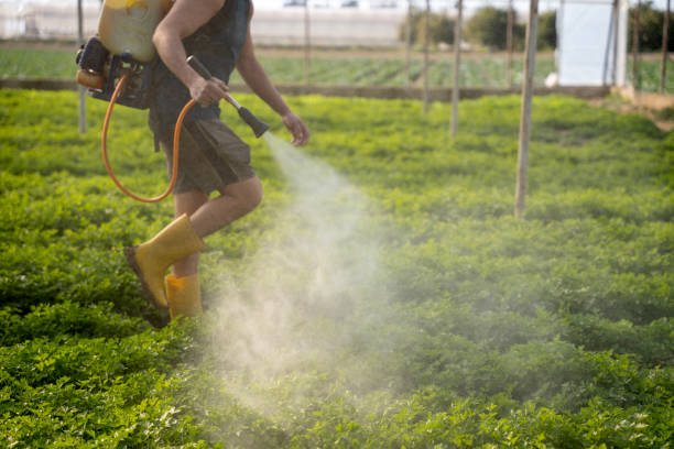 Best Mosquito Control Services  in Calverton Park, MO