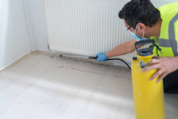 Best Pest Control Cost  in Calverton Park, MO