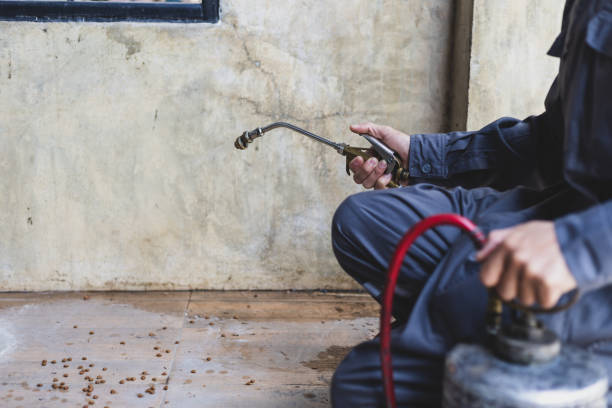 Best Best Pest Control Companies  in Calverton Park, MO