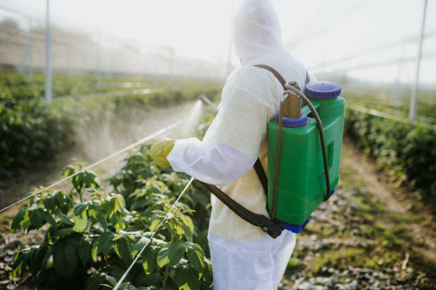 Best Pest Control Near Me  in Calverton Park, MO